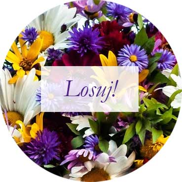 Wróżba z chińskiego ciasteczka online - darmowa